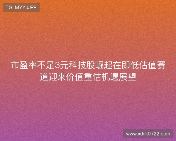市盈率不足3元科技股崛起在即低估值赛道迎来价值重估机遇展望